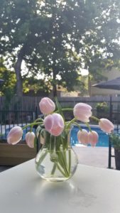 Mother's Day Tulips